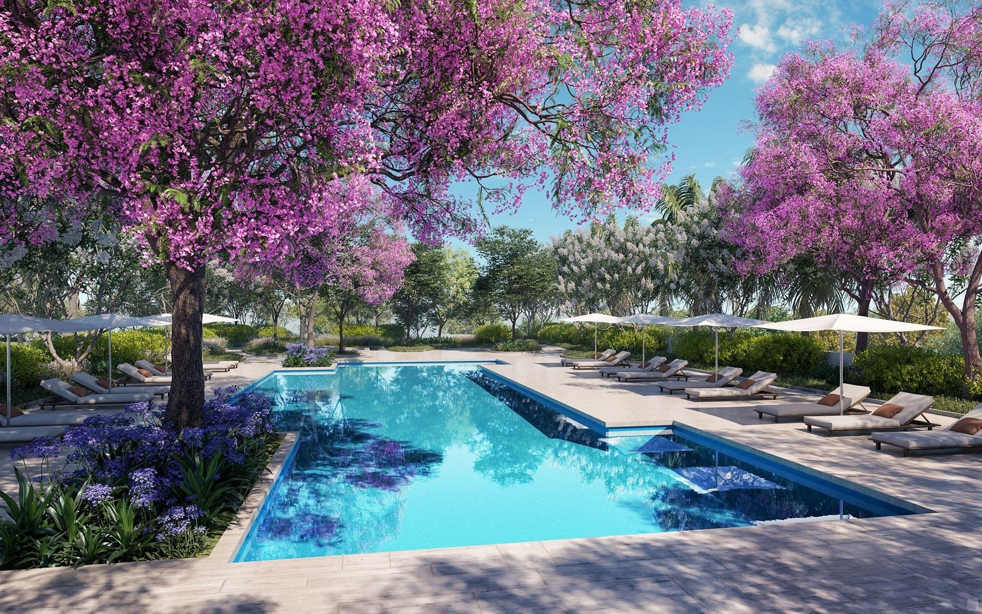 The Ritz-Carlton Tampa location