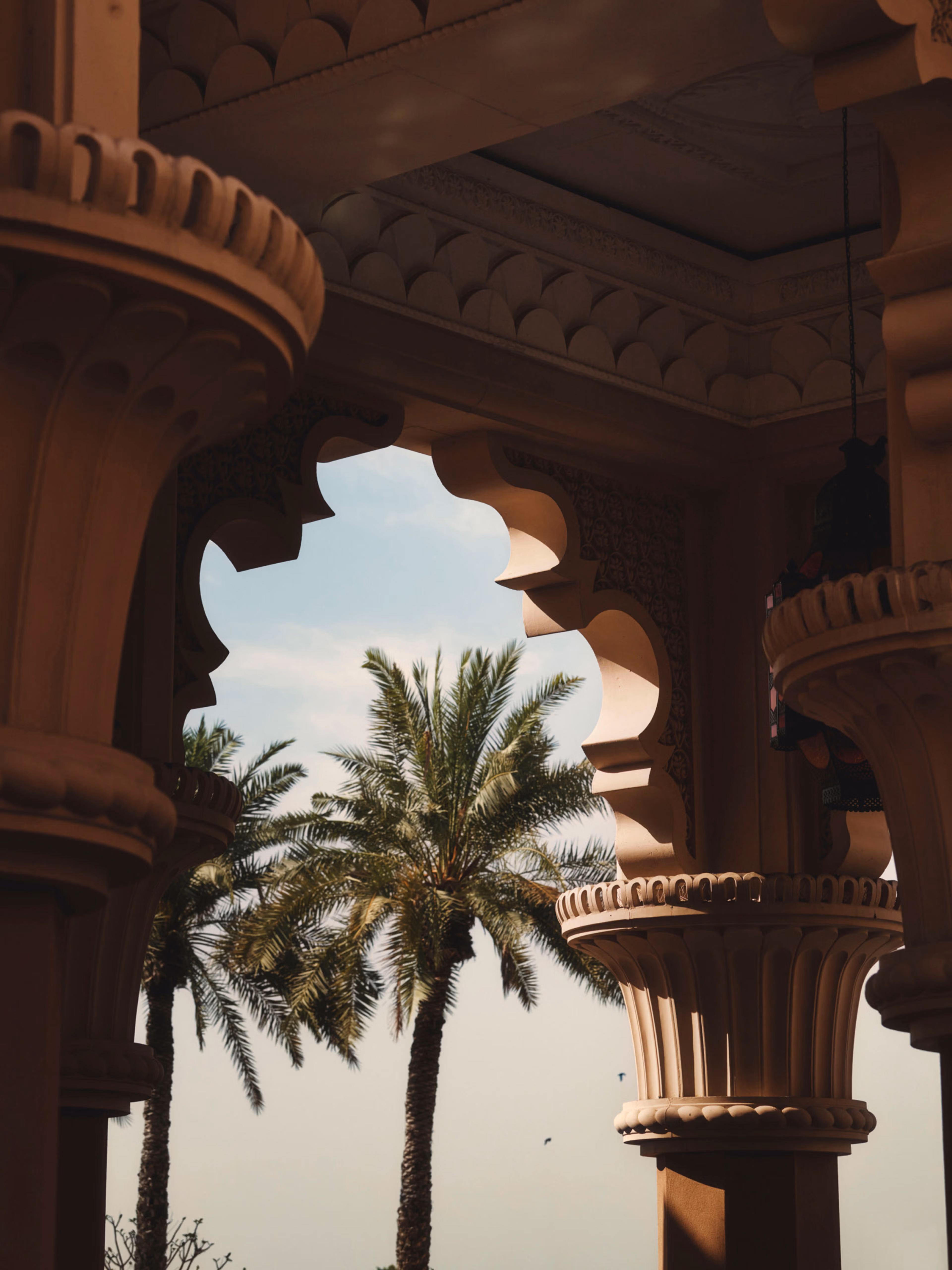 Collective Category Image