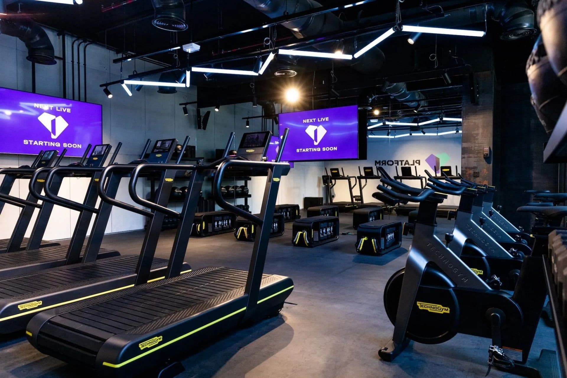 Collective Image Mosaic Item