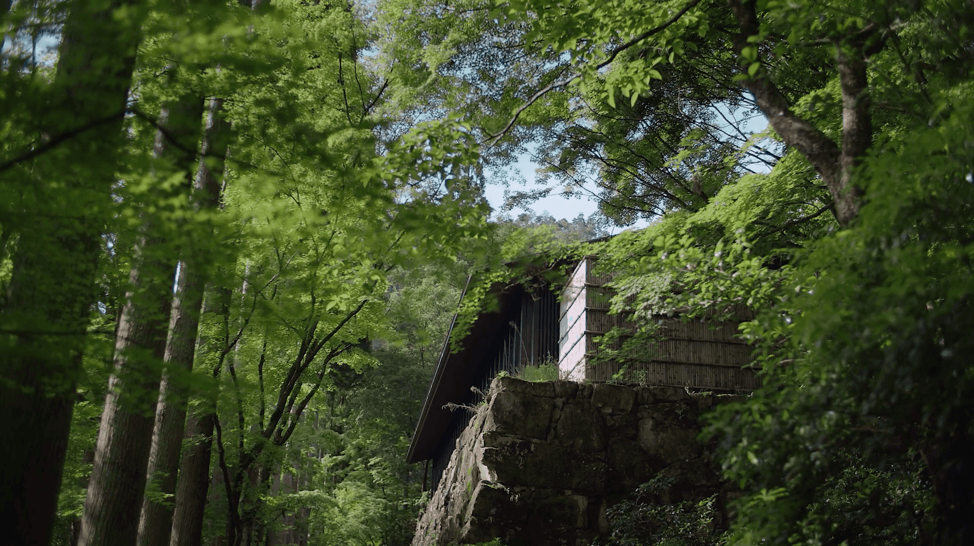 Collective Image Mosaic Item